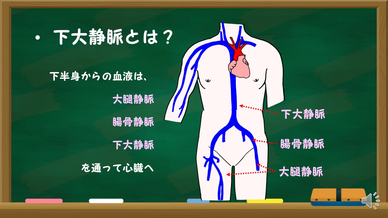 中心静脈カテーテル ポート造設ってなに？ | パンダ先生の病気の学校